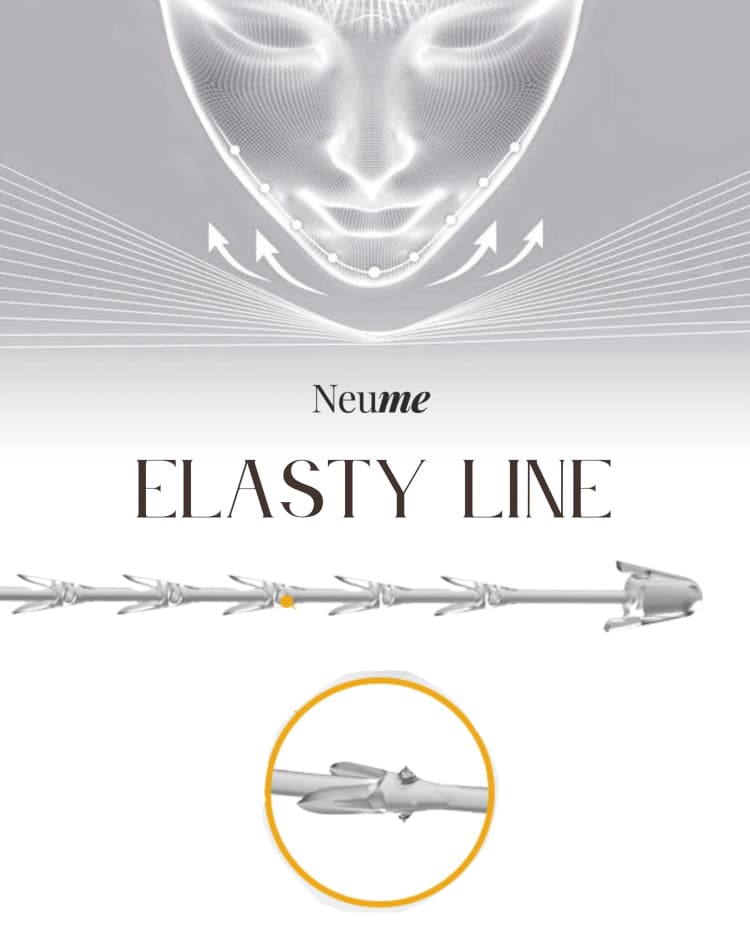 Elasty Line